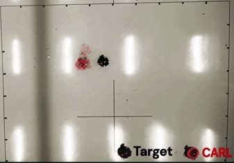 CARL path tracking
